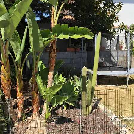 Vila Cool & Modern Giovanna With Air Conditioning, Private Pool & Sea Views *